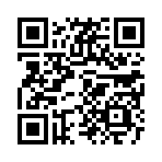 开罗拉面店全国篇中文版