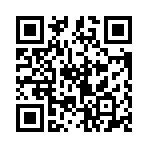 保护者射手传奇Protectors