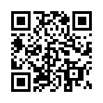 贝利亚战士模拟