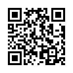 我要坐飞机最新版