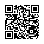 巡警模拟器手机版