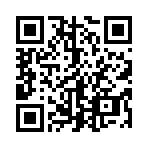 武士闪光跑酷最新版