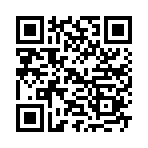 女电视人模拟器