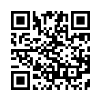 谎言游戏中文版