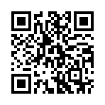 空之纹章破解版