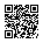 猫猫网球冠军最新版