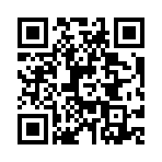 中世纪窃贼模拟器