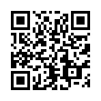 美国卡车模拟货运