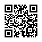 反击间谍中文版