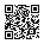 花店物语破解版