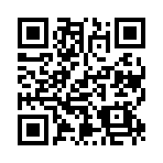 城市毁灭模拟中文版