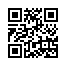 边境巡查官中文版