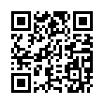 国土防御我方无敌版