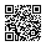 宠物小宝贝钻石