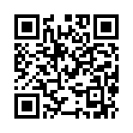 影子战斗2破解版