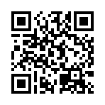 猫市游戏官方版