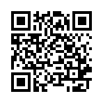 迷你小组件MiniWidgets软件