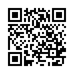 job168南方人才网官方版