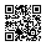 城市流浪日记游戏官方版