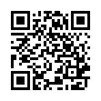 bunnycop兔子警察