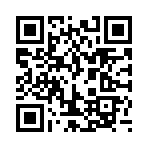 外地车进京app安卓版