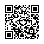 口袋妖怪永夜手机版