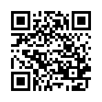 俄罗斯沙块游戏