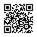 布丁UI车机壁纸app官方版