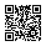 蜜蜂换机app手机版