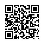 口袋妖怪单机版之捕抓敌方宠物魔改版