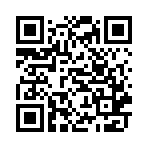 加查钻石游戏安卓版