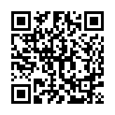 天天码字官方版