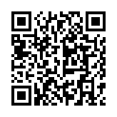 思壮翻译站