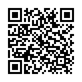 小小枪次元危机