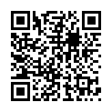 薇斯姬虚拟女友