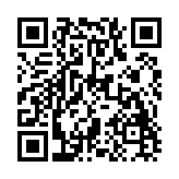 荣耀设备连接服务