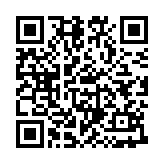 布鲁伊寻找金笔的冒险