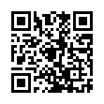 小飞龙定向最新版