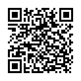 掌控天际战机空战