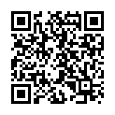 荣耀YOYO建议基础服务apk