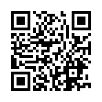 空洞骑士丝之歌