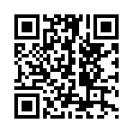 猫猫的奇妙小镇