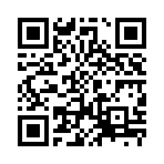 东北雨姐语音盒子